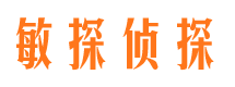 亚东市侦探公司